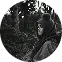 Nigar Əliyeva